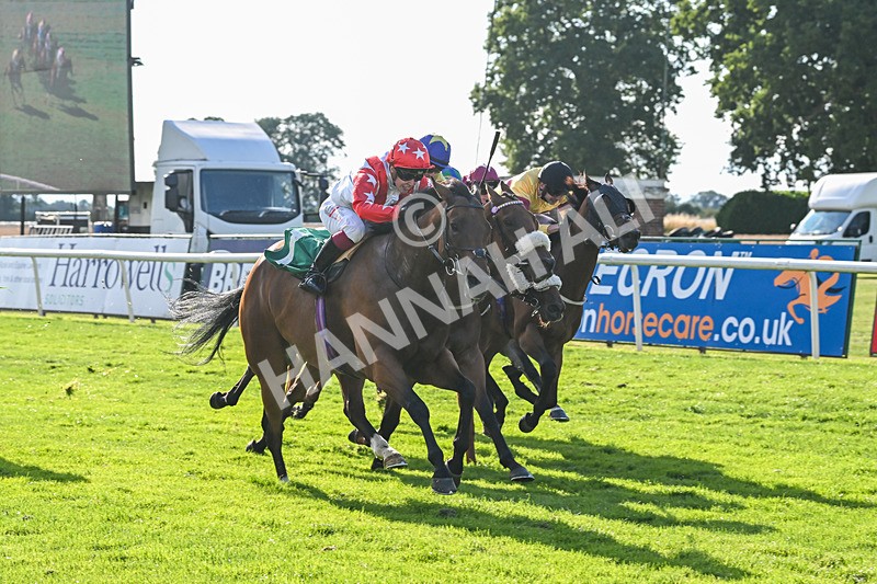 020825-Race 8-Dandy Dinmont-3906 - Race 8