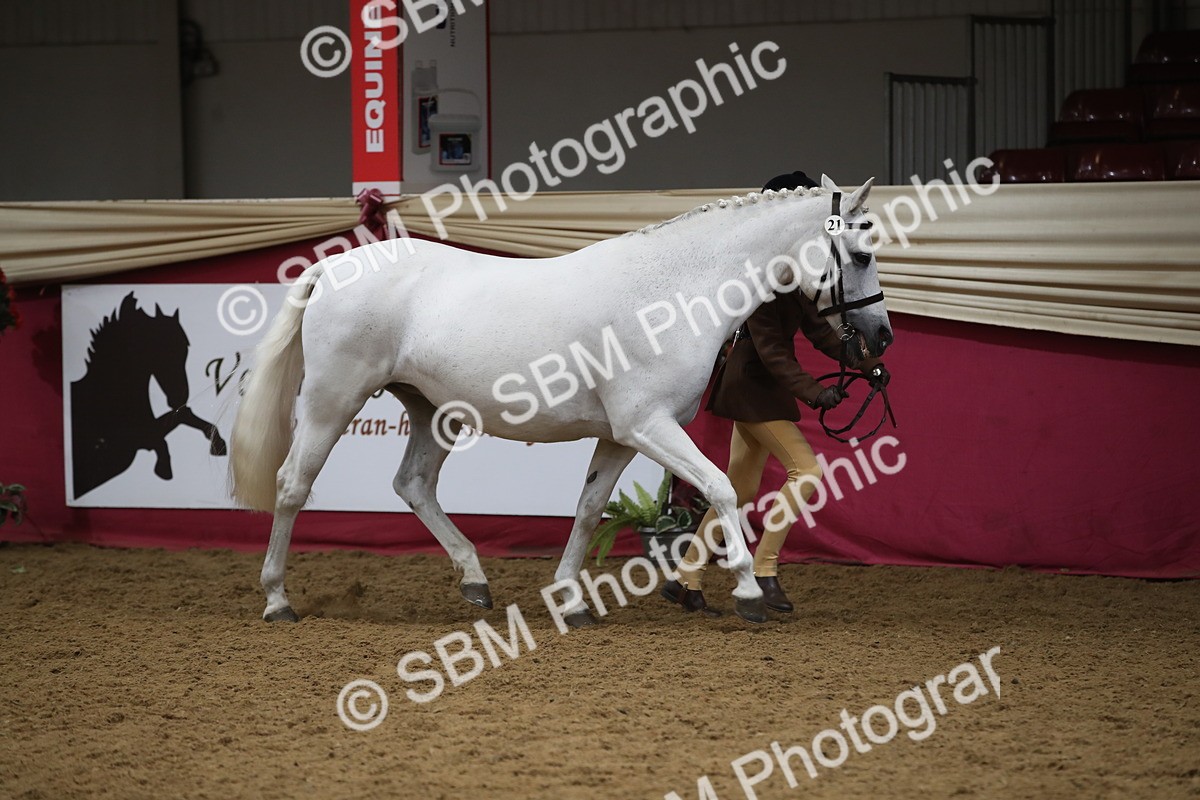 SBM_05266_Class 8r - Regional - IH Veteran - Vicky Gutteridge