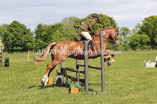 IMG_4565 - Working Hunter