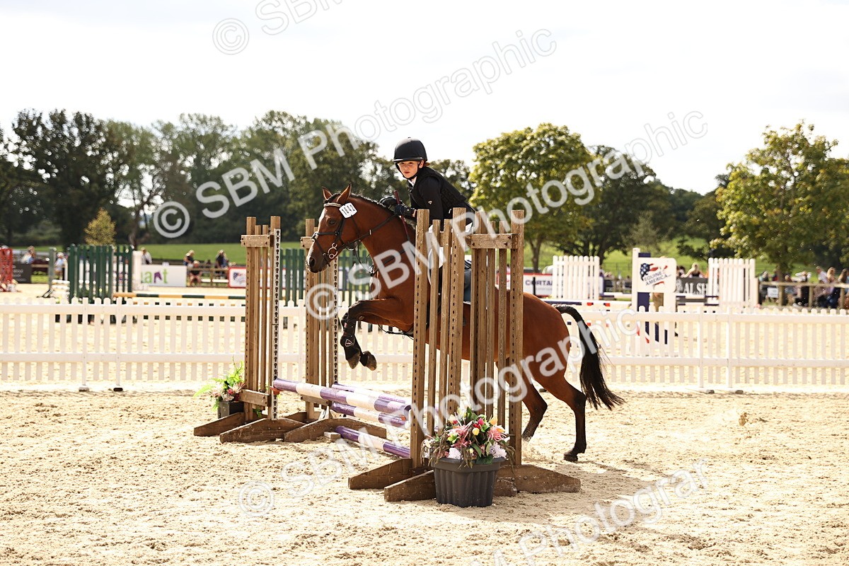SBM_63962 - J12 - Junior Pony 55cm Championship
