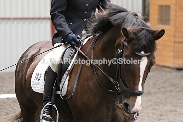 SIAL5021 - CAbin Dressage 5th july 2025