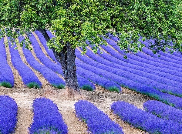  - France