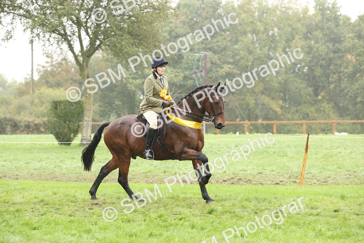 SBM_72913 - Ridden Horse Supreme Championship