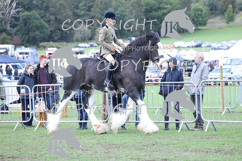 APP_3645 - Class 8 Ridden Class