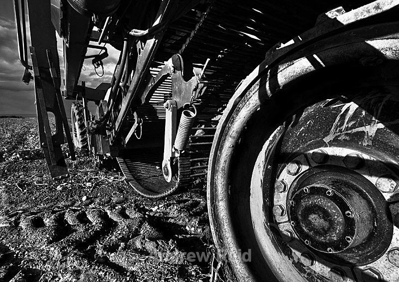  - Black & White