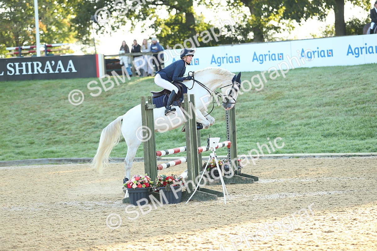 SBM_57727 - J64 - Clear Round 90cm