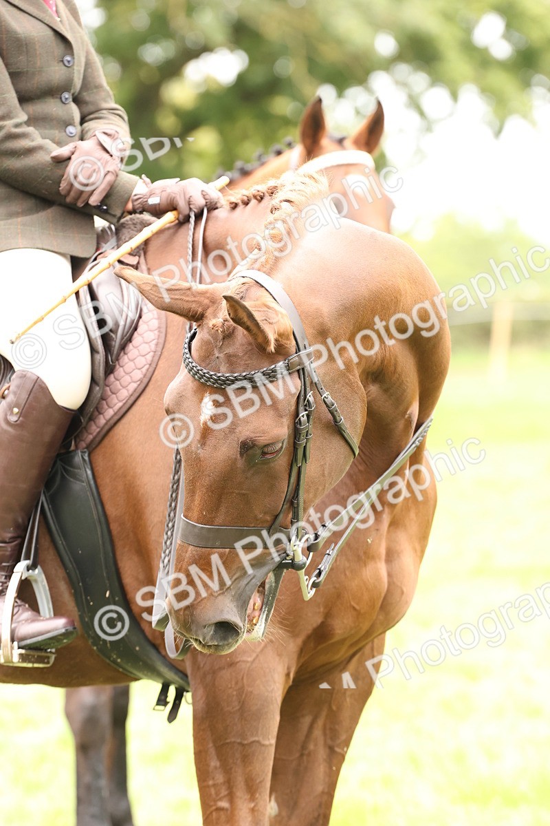 SBM_64325 - S65 - Riding Horse & Hack & Thoroughbred Ridden
