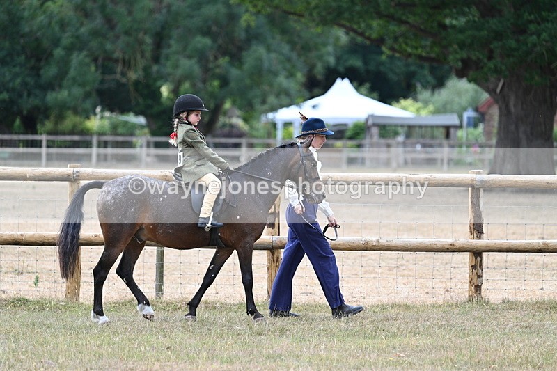 WJ7_0377 - Class 6 Ridden Mountain and Moorland