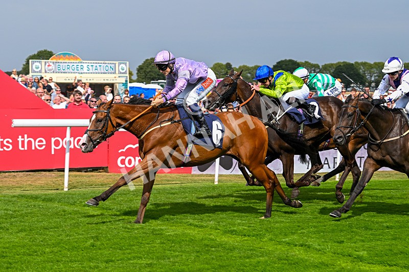 240825-Race 1-Light Speed-1471 - Race 1