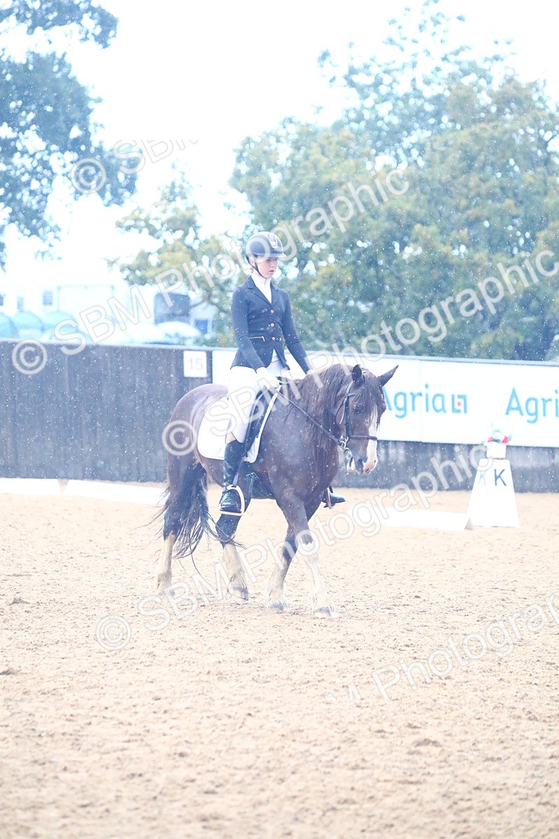 SBM_38853 - D21 - Junior Championship Intro 1