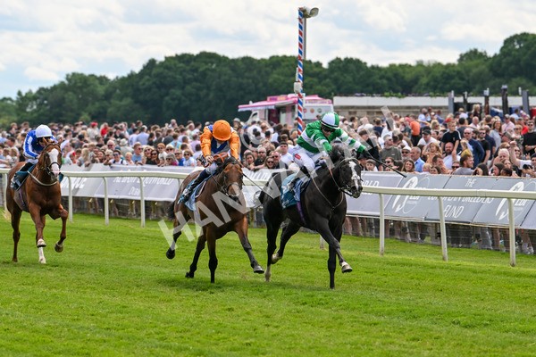 310525-Race 2-Tadej-8934 - Race 2 2.05pm Irish Thoroughbred Marketing EBF Restricted Novice Stakes