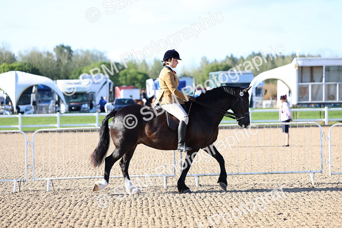SBM_08717 - Class 302 - Ridden M&M - Large Breeds