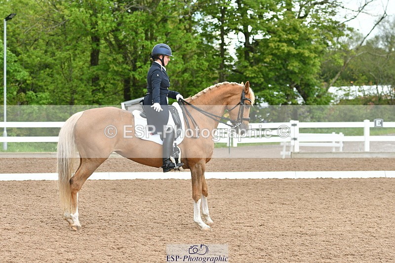 230511A-160623-01300 - BD Cls 18 FEI PSG