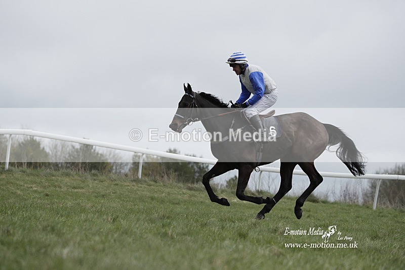 PtP 260323 0676 - New Forest Hounds Point-to-Point Larkhill 26/03/23