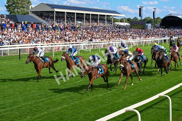 280625-Race 6-Dream Out Loud-0560 - Race 6 4.50pm Al Basti Equiworld Dubai Sprint Handicap