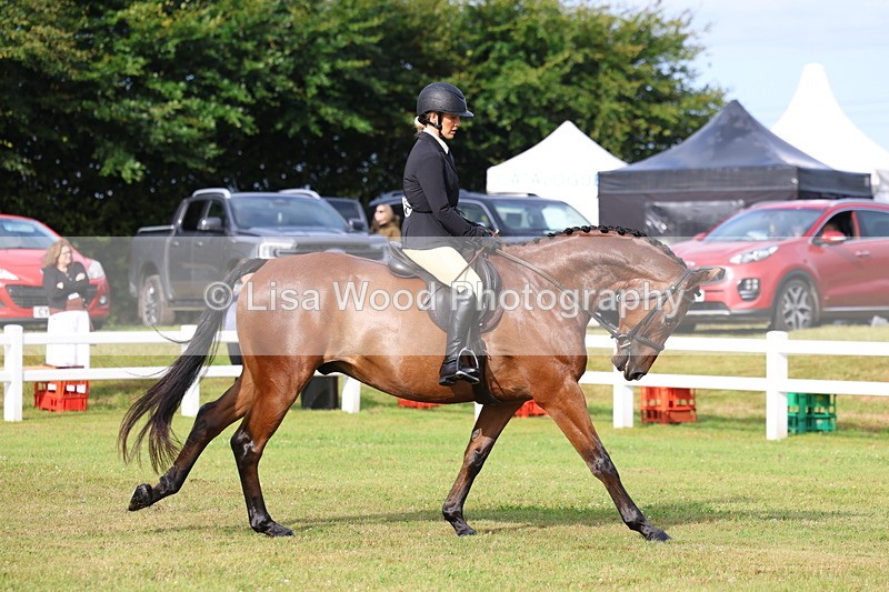 3E7A8029 - Class 2: Rising Star Large Hack/Riding Horse