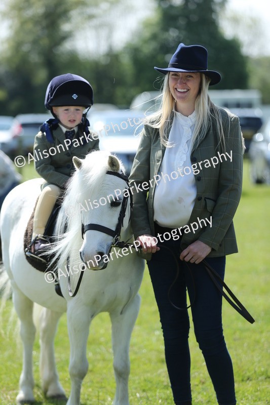 20250427-2695 - Class 6 - Pony Judge Would Most Like To Take Home