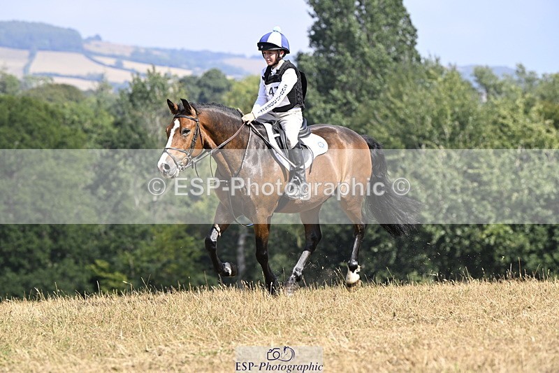 250824A-145230-38848 - 2147-George.Walford-meadow.sweet.conker