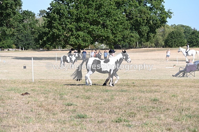WJ6_7241 - Class 33 Rescue Pony
