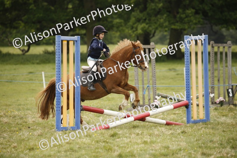20250517-0848 - Class 2 - 30cm Off Lead Rein