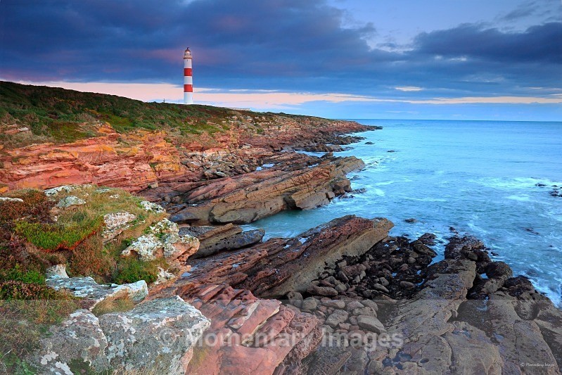 On the rocks - At the waters edge gallery
