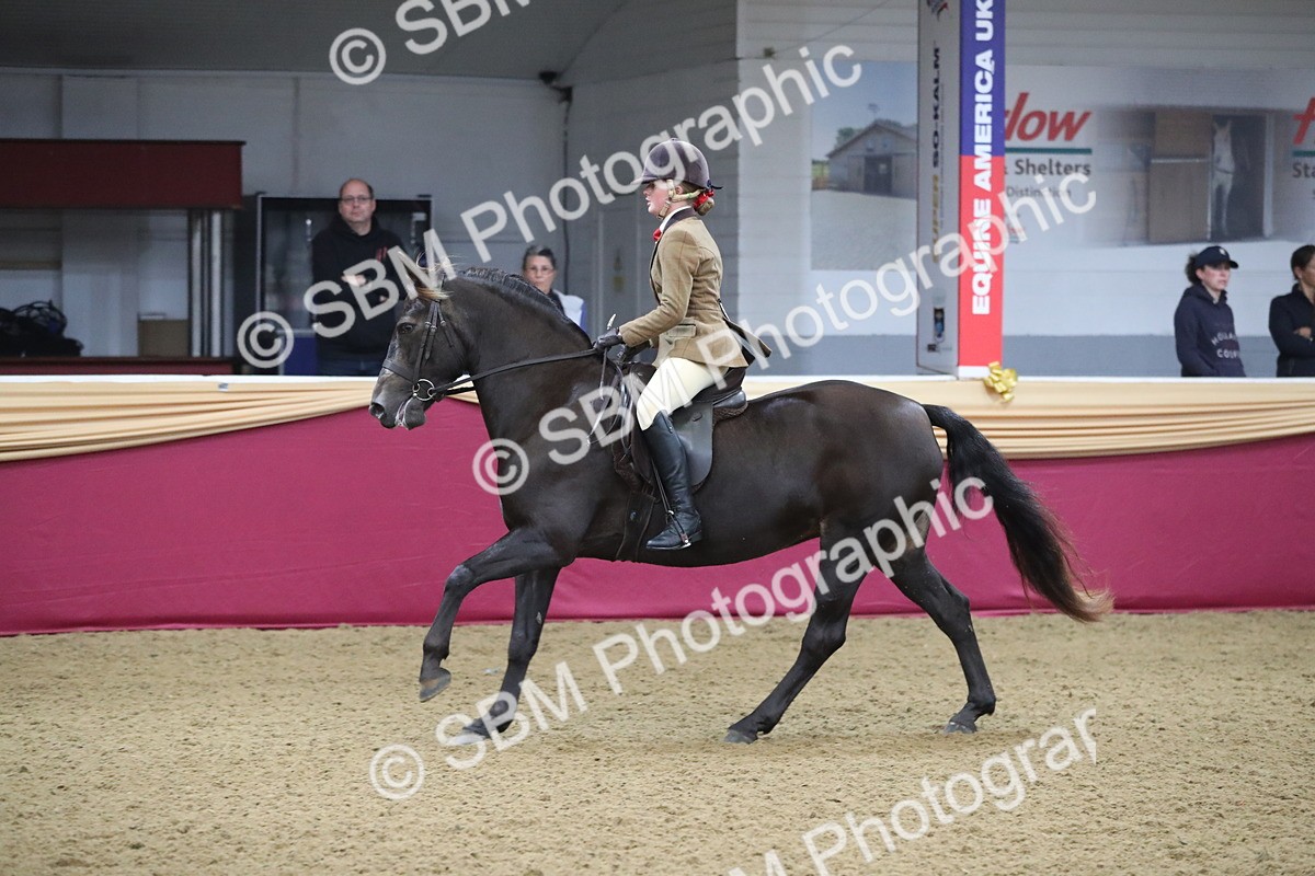 SBM_09300 - Class 101 Equitation (best rider), Junior
