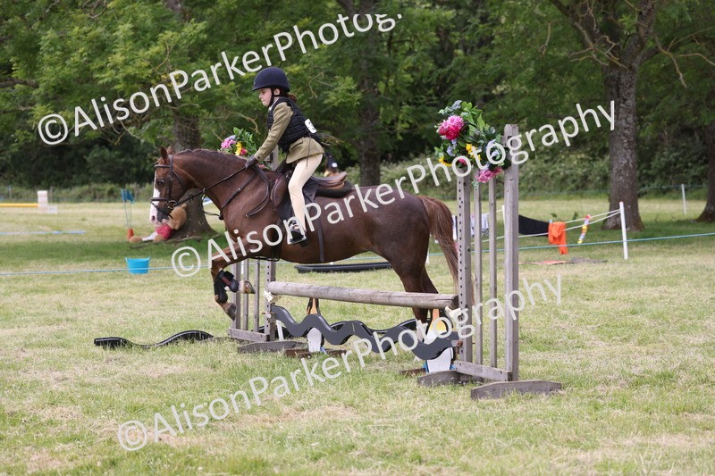 20260614-3010 - Class 22 - Open Working Hunter