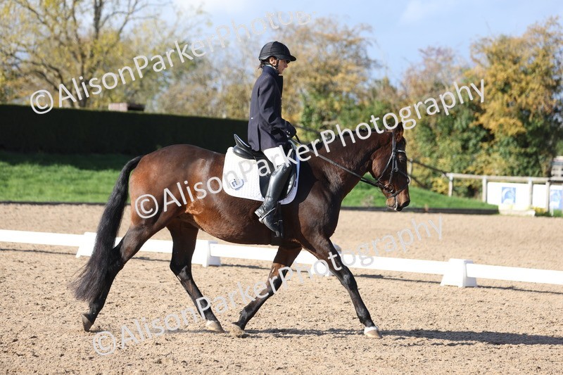 20251101-0571 - Class 4 - Novice 2