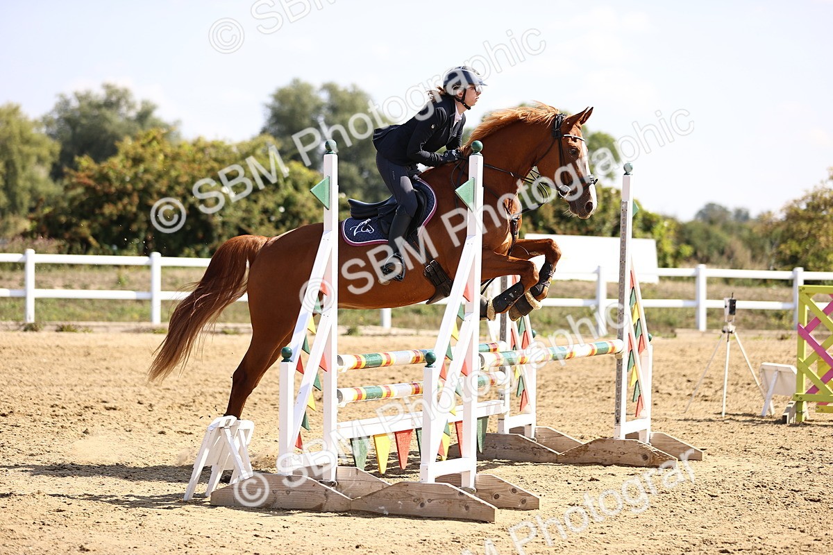 SBM_005840 - Class 9 - Senior British Novice - 90cm