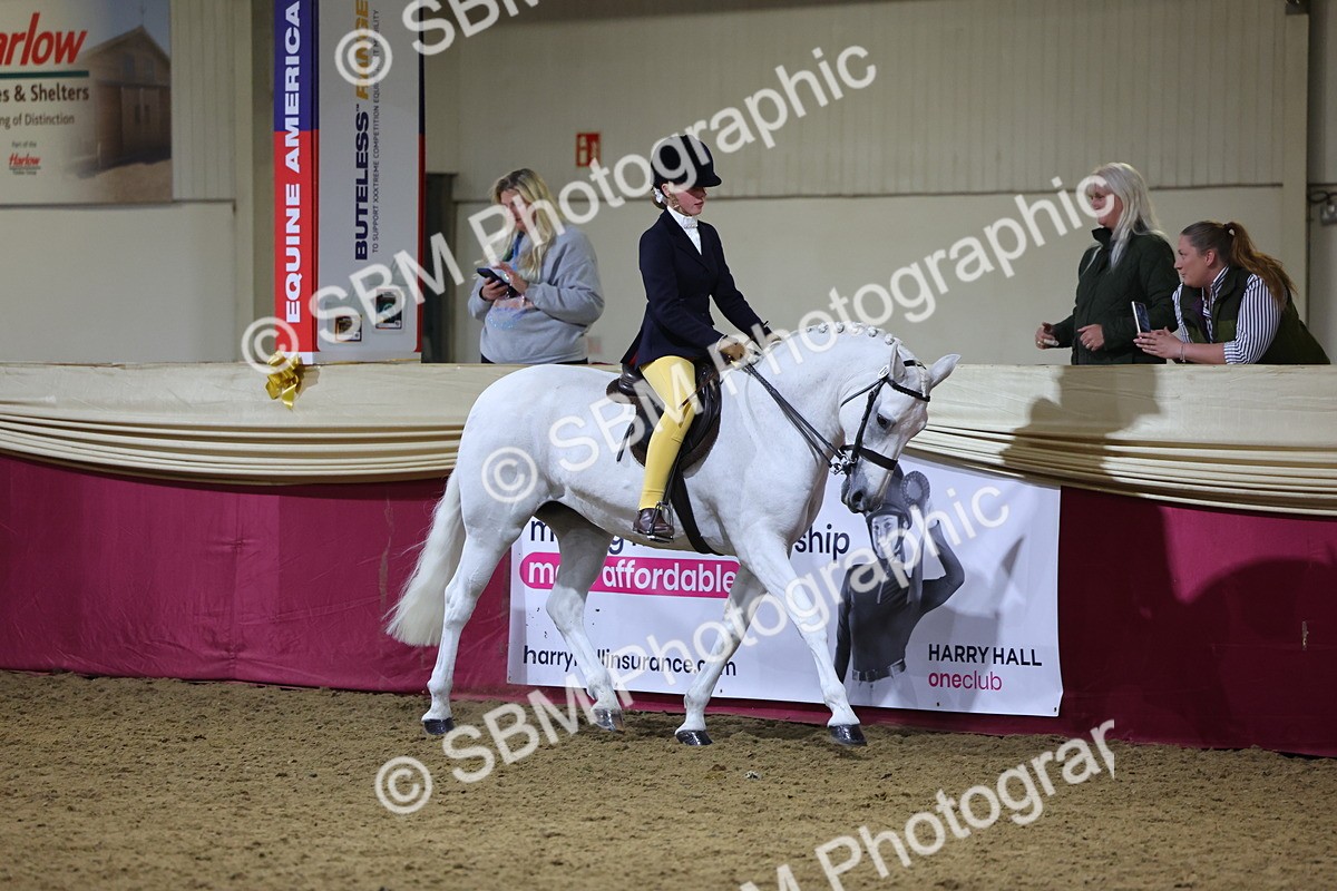 0B8A4616 - Class R Working Veteran Champ