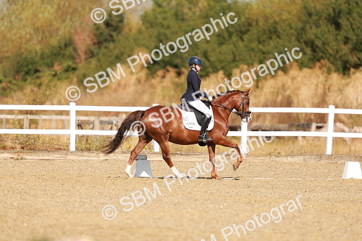 SBM_016804 - Class 9 - N5 Bronze 9.30.10.19