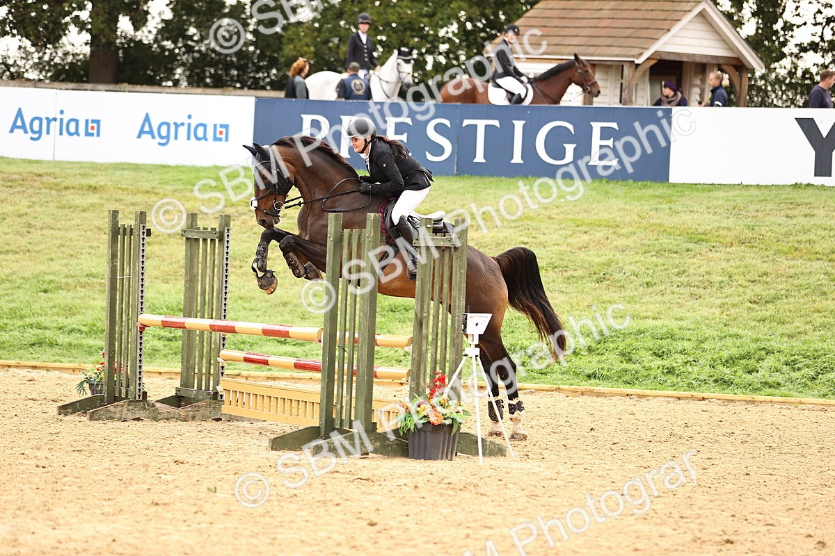 SBM_58549 - J41 - Grand Tour Horse & Pony 95cm