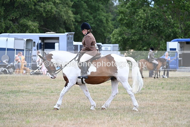 WJ7_4943 - Class 12 Ridden Cob