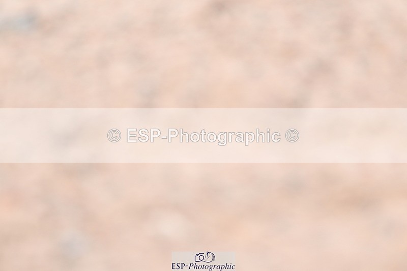 240706A-141817-03226 - Cls 7 Pairs