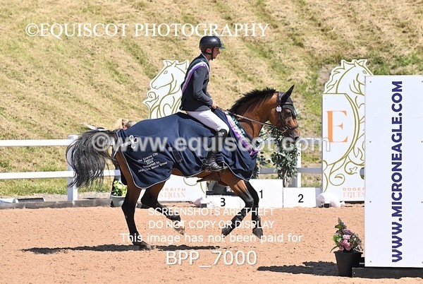 BPP_7000 - CLASS 13 FRI HOYS Talent Seeker Qualifier Inc 7 Year Old Horse Championship Qualifier
