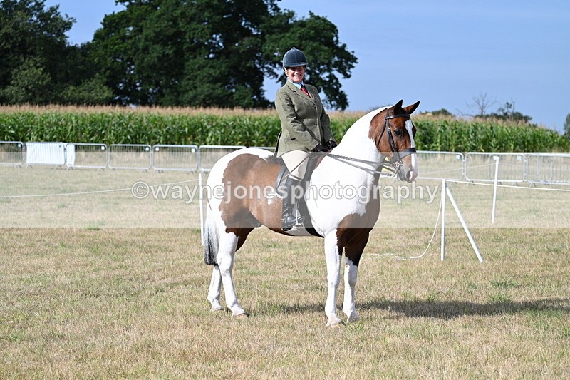 WJ7_2600 - Class 8 Ridden Tack & Turnout