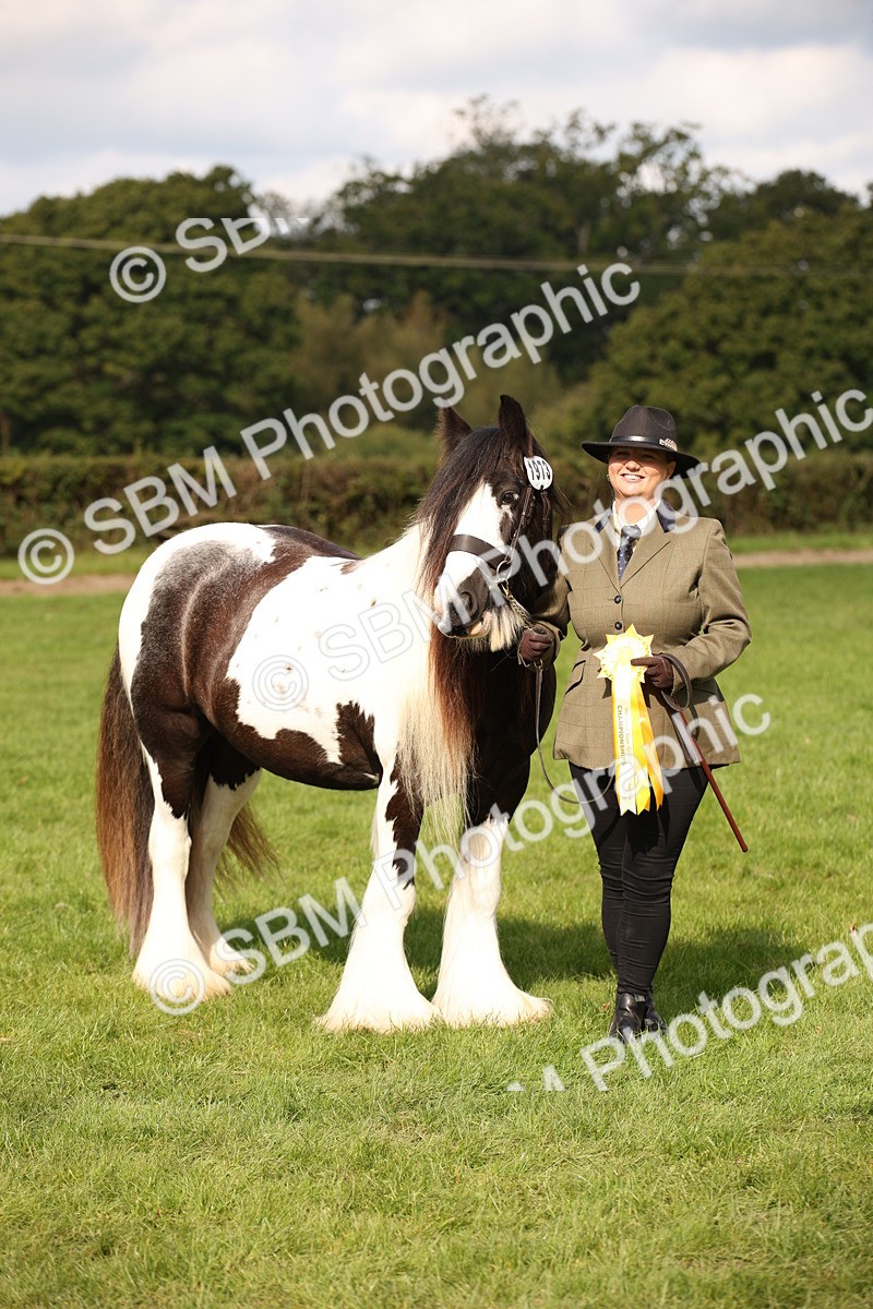 SBM_62320 - S55 - Traditional Cob In Hand