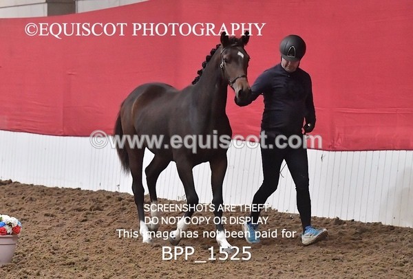 BPP_1525 - MORNING 9AM - 12PM