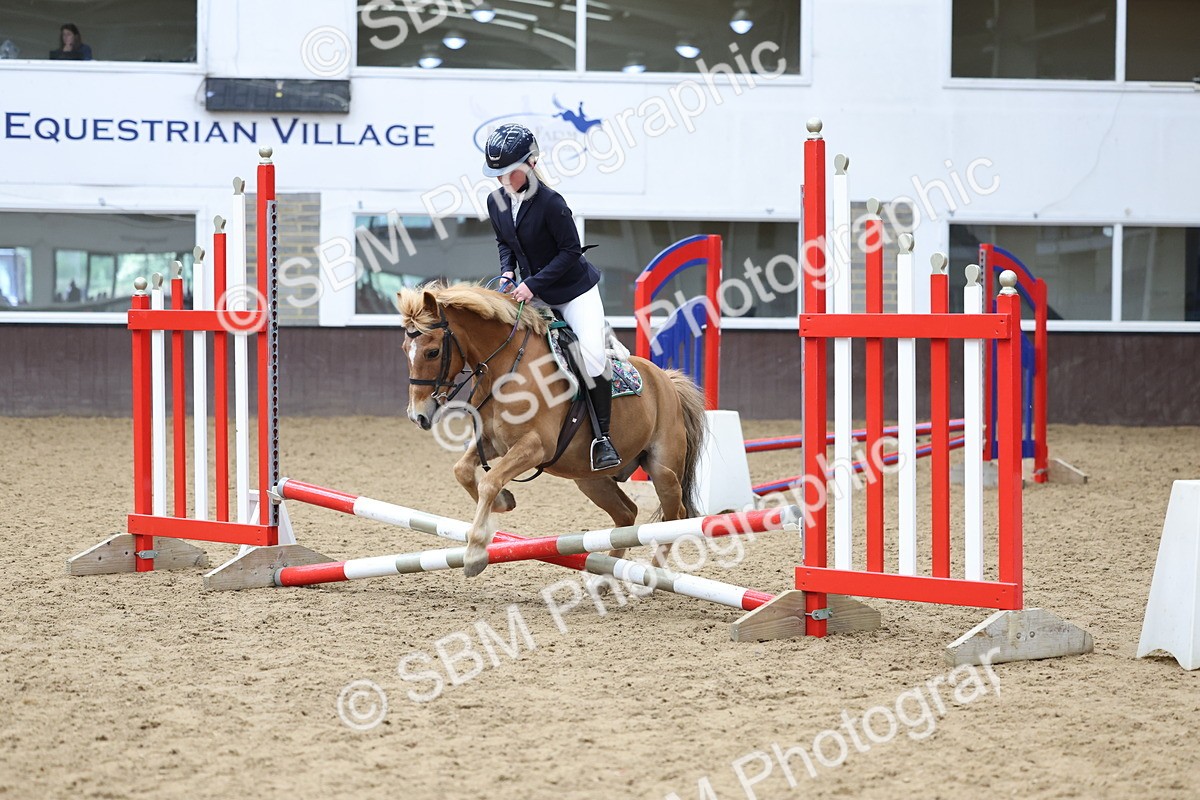 SBM_007281 - Class 2 - 50cm showjumping