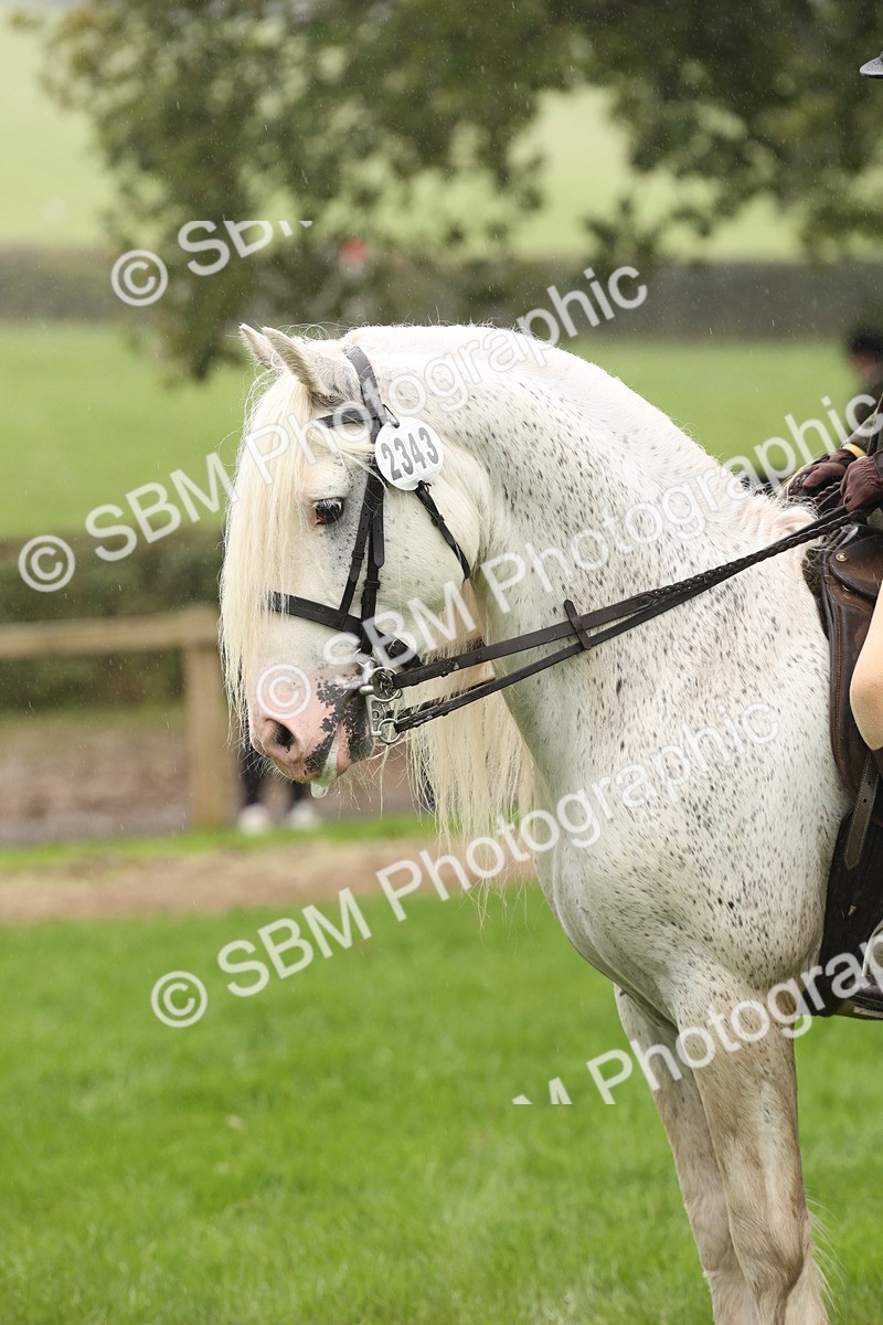 SBM_72791 - S70 - Traditional Cob Ridden
