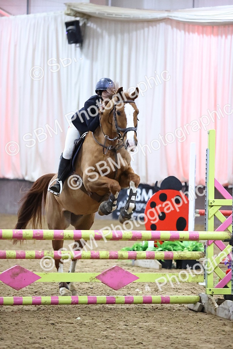 SBM_008991 - Class 20 - Senior British Novice - 80cm