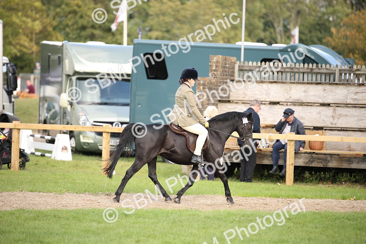 SBM_50158 - S26 - Young Veteran - Ridden