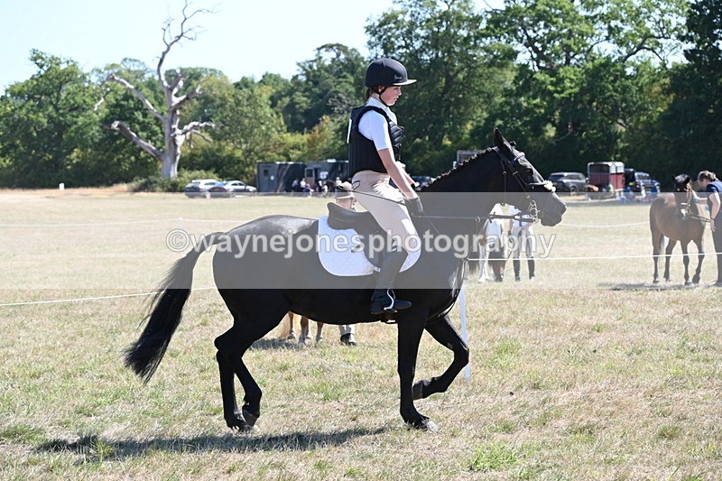WJ6_8321 - Class 37a Best Loan Pony Ridden