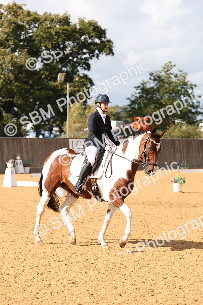 SBM_24546 - D17 - Grand Tour Championship Novice 3