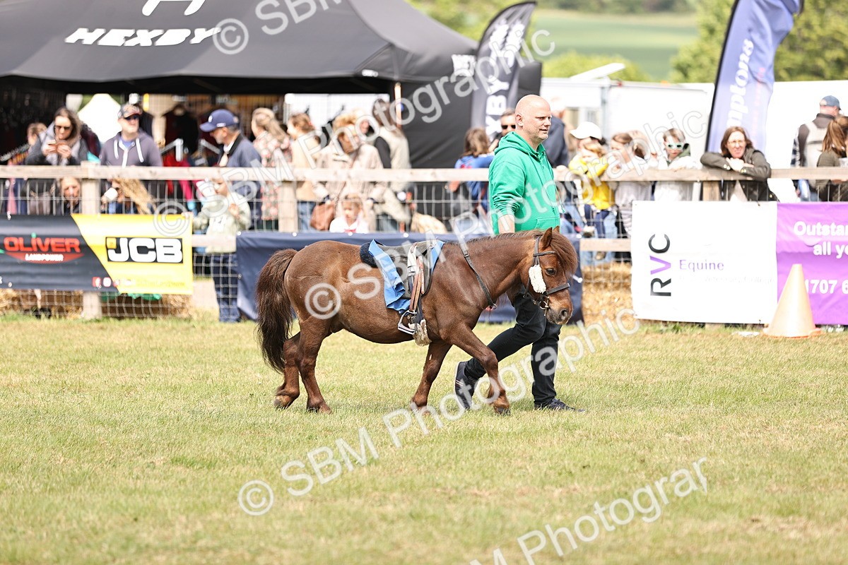SBM_16393 - Dinky Derby