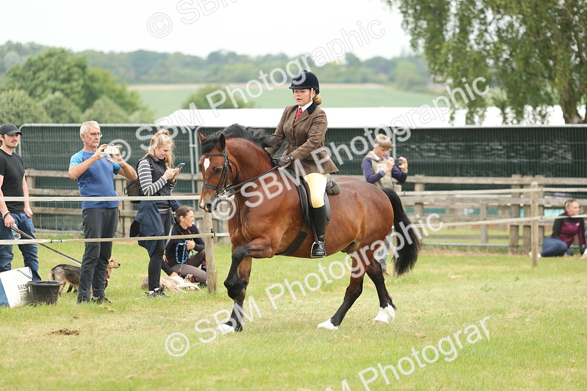 SBM_07209 - Class 76-77 - Ridden M&M Welsh Ponies