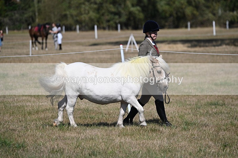 WJ6_4392 - Class 17 Mountain & Moorland