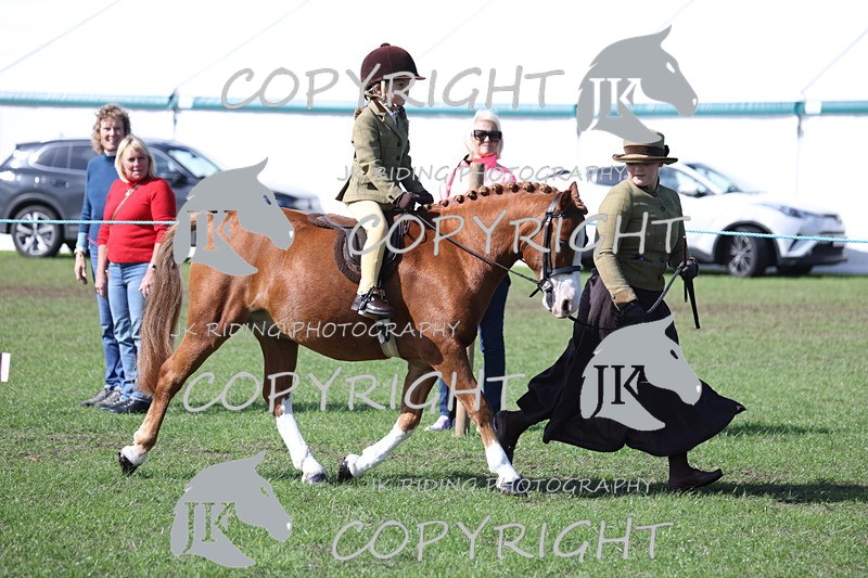 APP_3846 - Class 13 Lead rein