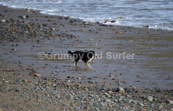 DSC_0506 - Porth Ceiriad 14th February 2016
