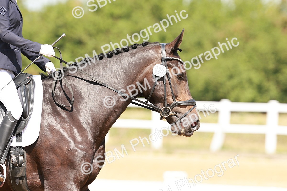 SBM_000911 - Class 4 - Novice 5